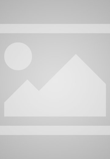 Wooden Framed Cleared Woodblock Style Painting